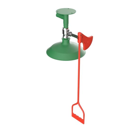 Ceiling mounted laboratory safety shower